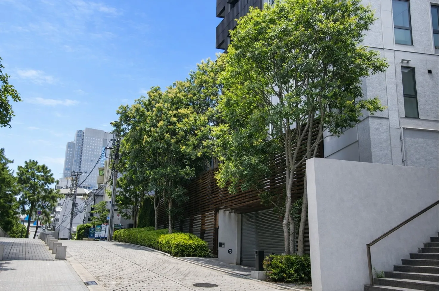 フォレセーヌ赤坂氷川町 エントランスホールアプローチ